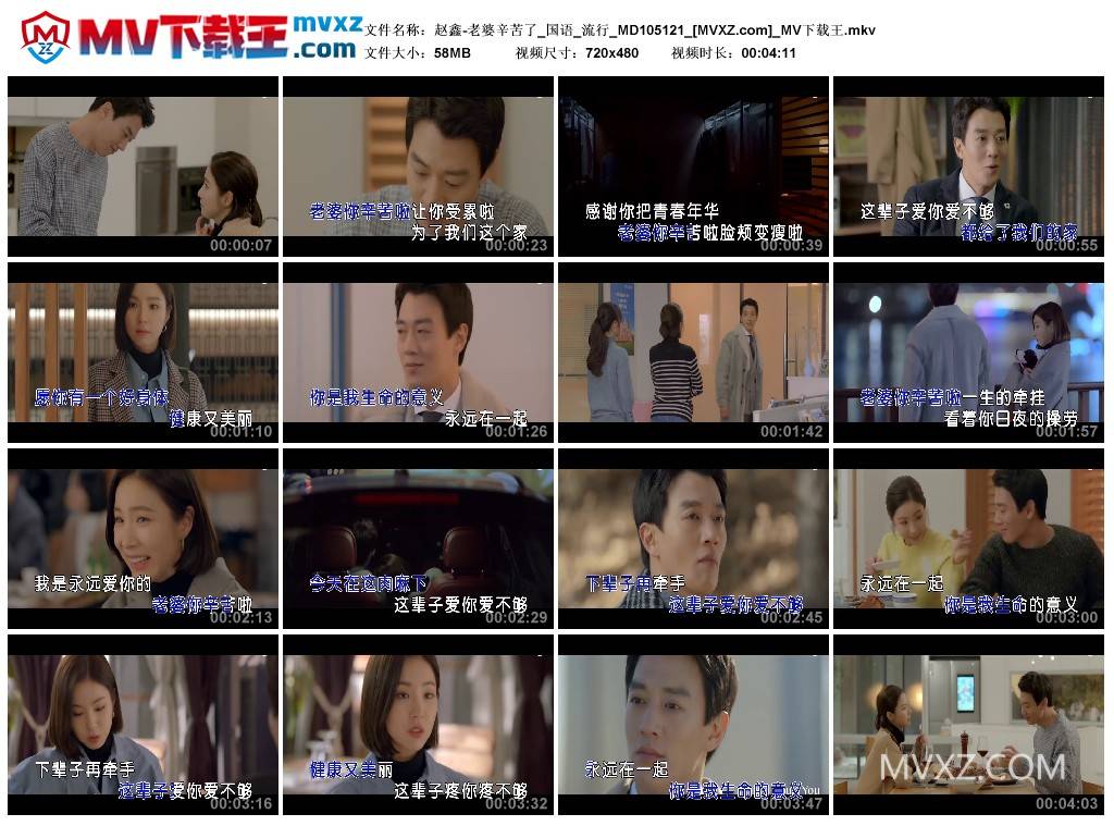 赵鑫-老婆辛苦了_国语_流行_MD105121